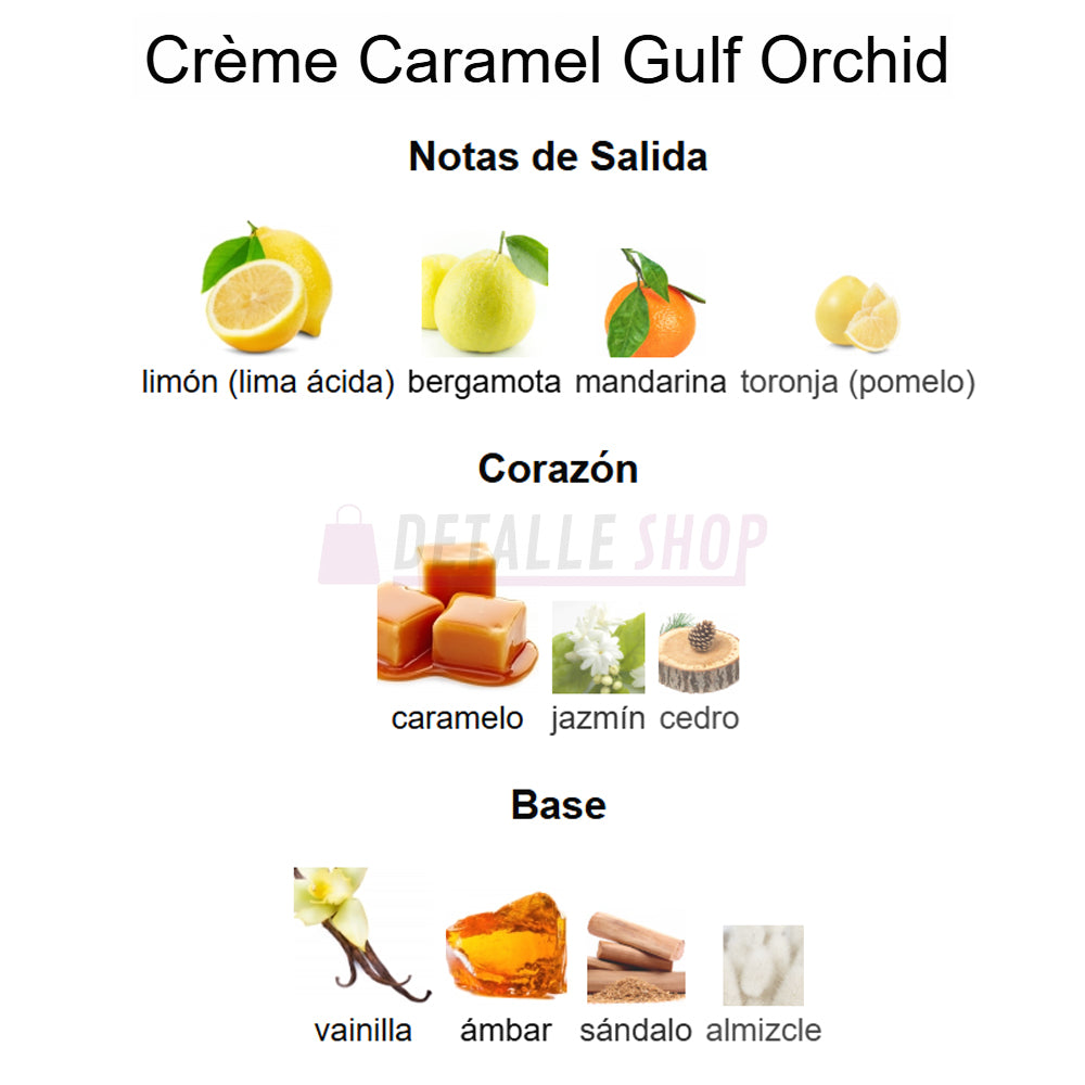 Fragancia dulce Crème Caramel de Gulf Orchid, perfume oriental elegante con toques cremosos y citricos notas.