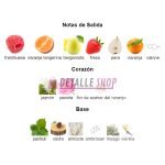 chic miss armaf dubai lattafa perfume arabe armaf mujer detalle shop dubai esencias oriental