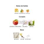 Notas del perfume Miss Armaf Catwalk: cítricos, durazno, jazmín, almizcle, vainilla y ambroxan.