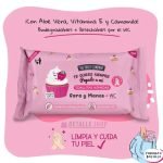 Toallitas Cara y Manos + Wc Fresa y Nata - The Fruit Company - Imagen 2