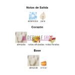 tropical fruits gulf orchid musk collection dubai perfume arabe detalle shop murcia