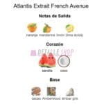 Presentación del perfume Atlantis Extrait unisex de French Avenue notas olfativas ingredientes