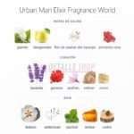 notas urban man elixir perfume arabe de fragrance world