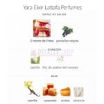Ingredientes del perfume Yara Elixir fresa vainilla y notas dulces