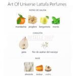 Pirámide olfativa de Art of Universe: Mandarina, Jengibre y Pera