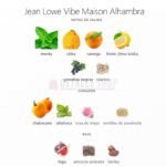 notas Jean Lowe Vibe maison alhambra eau de parfum fresco unisex