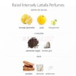 Perfume Ra'ed Intensely gris con notas cítricas y frescas