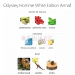 Detalle de las notas de yuzu, notas marinas y ámbar en Armaf Odyssey Homme White