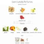 notas piramide olfativa leen de lattafa pride unisex