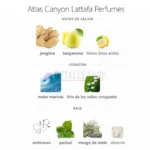 Notas olfativas de Atlas Canyon Lattafa con bergamota, notas marinas y ambroxan.