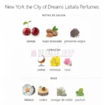 Pirámide y notas olfativas del perfume Lattafa New York The City of Dreams